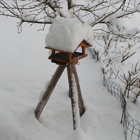 Fewo Talula - Sauerland Mit Hund Apartment Medebach Exterior foto