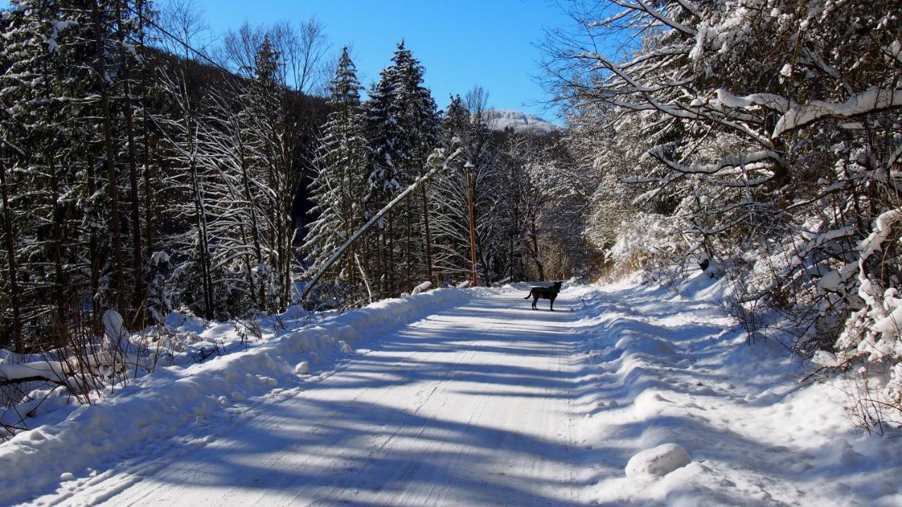 Fewo Talula - Sauerland Mit Hund Apartment Medebach Exterior foto