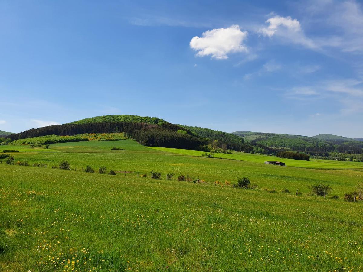 Fewo Talula - Sauerland Mit Hund Apartment Medebach Exterior foto