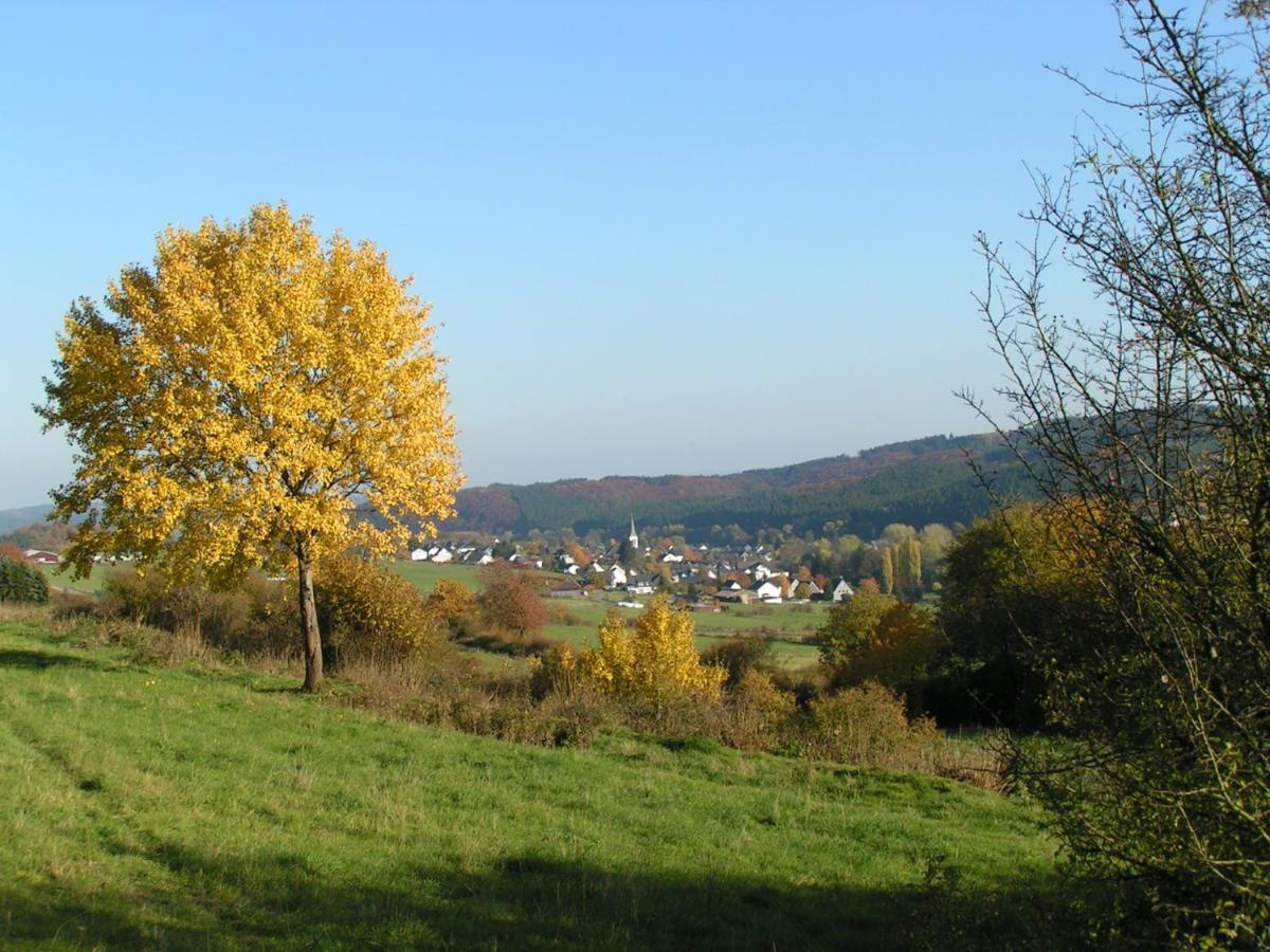 Fewo Talula - Sauerland Mit Hund Apartment Medebach Exterior foto